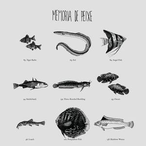 Memoria De Peixe资料,Memoria De Peixe最新歌曲,Memoria De PeixeMV视频,Memoria De Peixe音乐专辑,Memoria De Peixe好听的歌