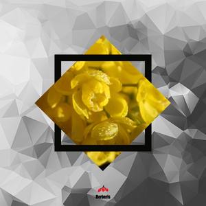 Bassel Darwish资料,Bassel Darwish最新歌曲,Bassel DarwishMV视频,Bassel Darwish音乐专辑,Bassel Darwish好听的歌