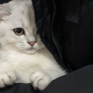 你一定要幸福 (Demo)