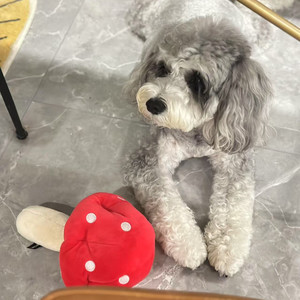 一颗金丹_萌鹿剧场资料,一颗金丹_萌鹿剧场最新歌曲,一颗金丹_萌鹿剧场MV视频,一颗金丹_萌鹿剧场音乐专辑,一颗金丹_萌鹿剧场好听的歌