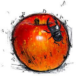 君の体温 (Inst.)