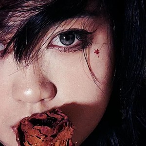 银鹭花生资料,银鹭花生最新歌曲,银鹭花生MV视频,银鹭花生音乐专辑,银鹭花生好听的歌