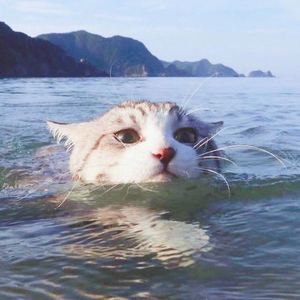 没有人比我更懂你资料,没有人比我更懂你最新歌曲,没有人比我更懂你MV视频,没有人比我更懂你音乐专辑,没有人比我更懂你好听的歌