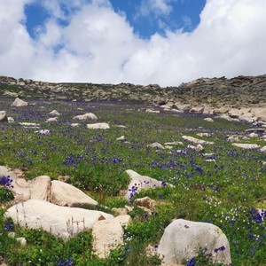 李建斌资料,李建斌最新歌曲,李建斌MV视频,李建斌音乐专辑,李建斌好听的歌