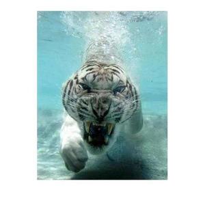 Z Boa资料,Z Boa最新歌曲,Z BoaMV视频,Z Boa音乐专辑,Z Boa好听的歌