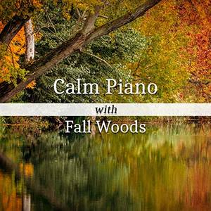 Forest Hills Music Universe资料,Forest Hills Music Universe最新歌曲,Forest Hills Music UniverseMV视频,Forest Hills Music Universe音乐专辑,Forest Hills Music Universe好听的歌