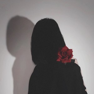 潘朵拉资料,潘朵拉最新歌曲,潘朵拉MV视频,潘朵拉音乐专辑,潘朵拉好听的歌