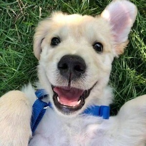 亦枫资料,亦枫最新歌曲,亦枫MV视频,亦枫音乐专辑,亦枫好听的歌