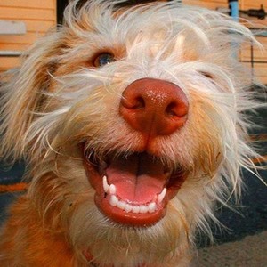 孟煜川资料,孟煜川最新歌曲,孟煜川MV视频,孟煜川音乐专辑,孟煜川好听的歌