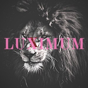 Luximum资料,Luximum最新歌曲,LuximumMV视频,Luximum音乐专辑,Luximum好听的歌