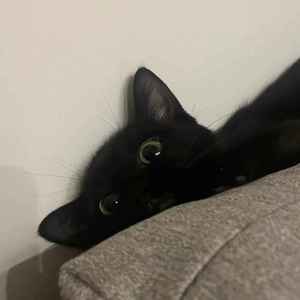 麦乐迪Shop资料,麦乐迪Shop最新歌曲,麦乐迪ShopMV视频,麦乐迪Shop音乐专辑,麦乐迪Shop好听的歌