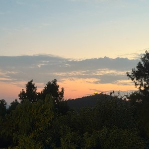 Pine资料,Pine最新歌曲,PineMV视频,Pine音乐专辑,Pine好听的歌