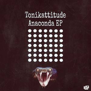 Tonikattitude