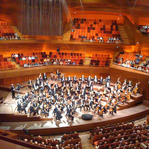 Royal Danish Symphony Orchestra