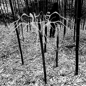 北岛资料,北岛最新歌曲,北岛MV视频,北岛音乐专辑,北岛好听的歌