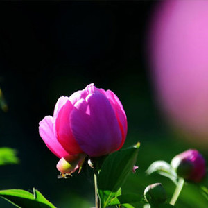 70组合资料,70组合最新歌曲,70组合MV视频,70组合音乐专辑,70组合好听的歌