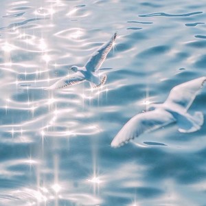 渔媞资料,渔媞最新歌曲,渔媞MV视频,渔媞音乐专辑,渔媞好听的歌