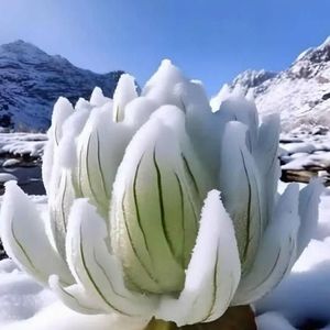 昊昃旭资料,昊昃旭最新歌曲,昊昃旭MV视频,昊昃旭音乐专辑,昊昃旭好听的歌