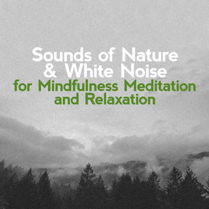 Sounds of Nature White Noise for Mindfulness资料,Sounds of Nature White Noise for Mindfulness最新歌曲,Sounds of Nature White Noise for MindfulnessMV视频,Sounds of Nature White Noise for Mindfulness音乐专辑,Sounds of Nature White Noise for Mindfulness好听的歌