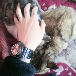 Godhead资料,Godhead最新歌曲,GodheadMV视频,Godhead音乐专辑,Godhead好听的歌