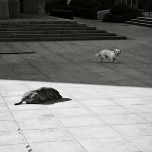 忘不了的是你 原唱 刘大壮