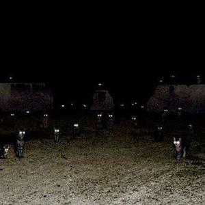 HAARPER资料,HAARPER最新歌曲,HAARPERMV视频,HAARPER音乐专辑,HAARPER好听的歌