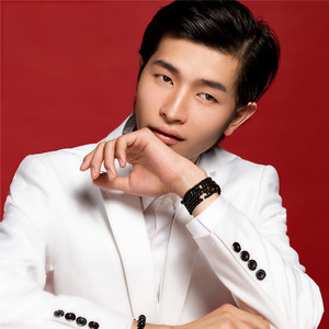 中医海洋资料,中医海洋最新歌曲,中医海洋MV视频,中医海洋音乐专辑,中医海洋好听的歌