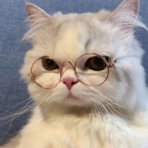 【钢琴】送给心中的男孩子