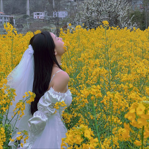 月亮代表我的心