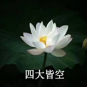 艾潭资料,艾潭最新歌曲,艾潭MV视频,艾潭音乐专辑,艾潭好听的歌