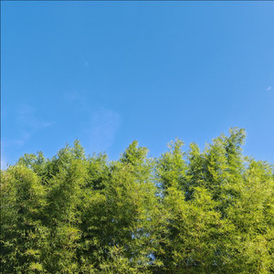 逐光资料,逐光最新歌曲,逐光MV视频,逐光音乐专辑,逐光好听的歌