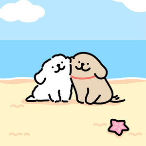 洛妤资料,洛妤最新歌曲,洛妤MV视频,洛妤音乐专辑,洛妤好听的歌