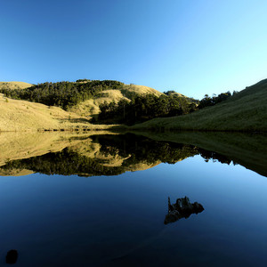 聽濤觀海资料,聽濤觀海最新歌曲,聽濤觀海MV视频,聽濤觀海音乐专辑,聽濤觀海好听的歌