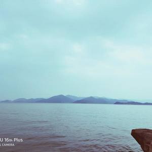 任柏东 - 妈妈的话