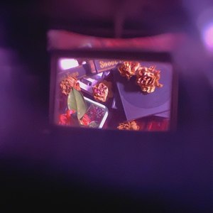 达达资料,达达最新歌曲,达达MV视频,达达音乐专辑,达达好听的歌