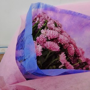 王多肉资料,王多肉最新歌曲,王多肉MV视频,王多肉音乐专辑,王多肉好听的歌