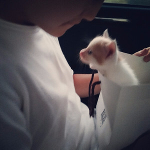 孙堃栩资料,孙堃栩最新歌曲,孙堃栩MV视频,孙堃栩音乐专辑,孙堃栩好听的歌