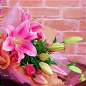 天缘百合资料,天缘百合最新歌曲,天缘百合MV视频,天缘百合音乐专辑,天缘百合好听的歌