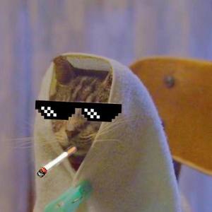 Ri资料,Ri最新歌曲,RiMV视频,Ri音乐专辑,Ri好听的歌