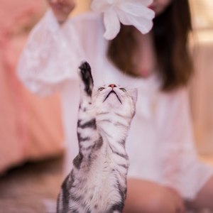 可乐资料,可乐最新歌曲,可乐MV视频,可乐音乐专辑,可乐好听的歌