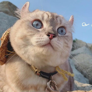 没那么喜欢资料,没那么喜欢最新歌曲,没那么喜欢MV视频,没那么喜欢音乐专辑,没那么喜欢好听的歌