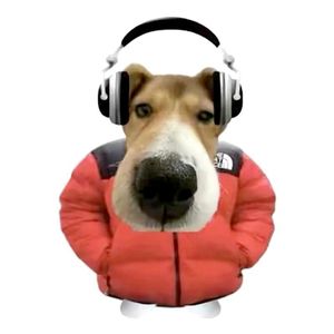 玫瑰资料,玫瑰最新歌曲,玫瑰MV视频,玫瑰音乐专辑,玫瑰好听的歌