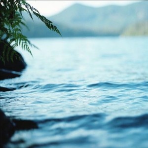 自爆战斗机资料,自爆战斗机最新歌曲,自爆战斗机MV视频,自爆战斗机音乐专辑,自爆战斗机好听的歌