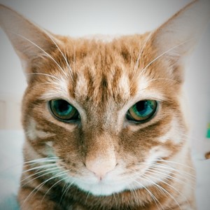 资彦义资料,资彦义最新歌曲,资彦义MV视频,资彦义音乐专辑,资彦义好听的歌