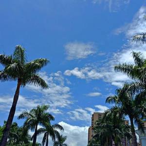 老段资料,老段最新歌曲,老段MV视频,老段音乐专辑,老段好听的歌