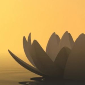 星源资料,星源最新歌曲,星源MV视频,星源音乐专辑,星源好听的歌