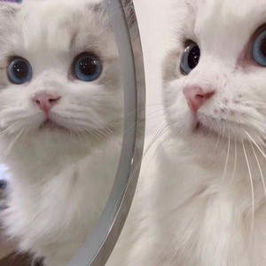 cniana资料,cniana最新歌曲,cnianaMV视频,cniana音乐专辑,cniana好听的歌