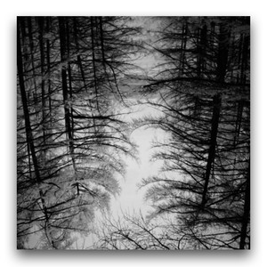 Trunks资料,Trunks最新歌曲,TrunksMV视频,Trunks音乐专辑,Trunks好听的歌