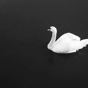 美智子资料,美智子最新歌曲,美智子MV视频,美智子音乐专辑,美智子好听的歌