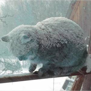 Moon资料,Moon最新歌曲,MoonMV视频,Moon音乐专辑,Moon好听的歌